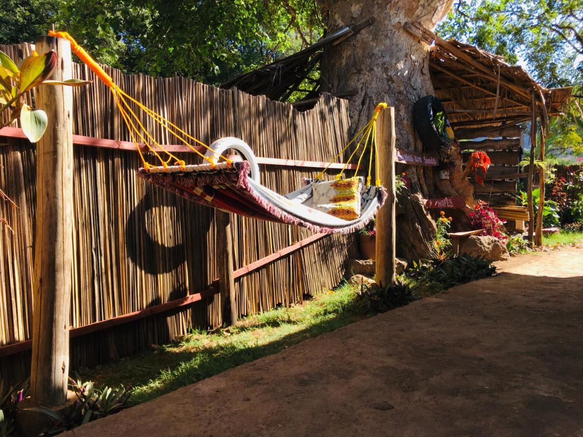 Апартаменты Ava Garden Backpackers Мто-ва-Мбу Экстерьер фото